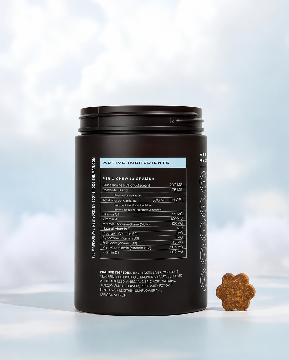 DM-01 Daily Multivitamin for Dogs, Human-Grade Multivitamin Soft Chews for Daily Nutritional Support, Chicken & Beef Flavors, 60 Soft Chews