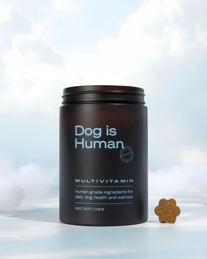 DM-01 Daily Multivitamin for Dogs, Human-Grade Multivitamin Soft Chews for Daily Nutritional Support, Chicken & Beef Flavors, 60 Soft Chews