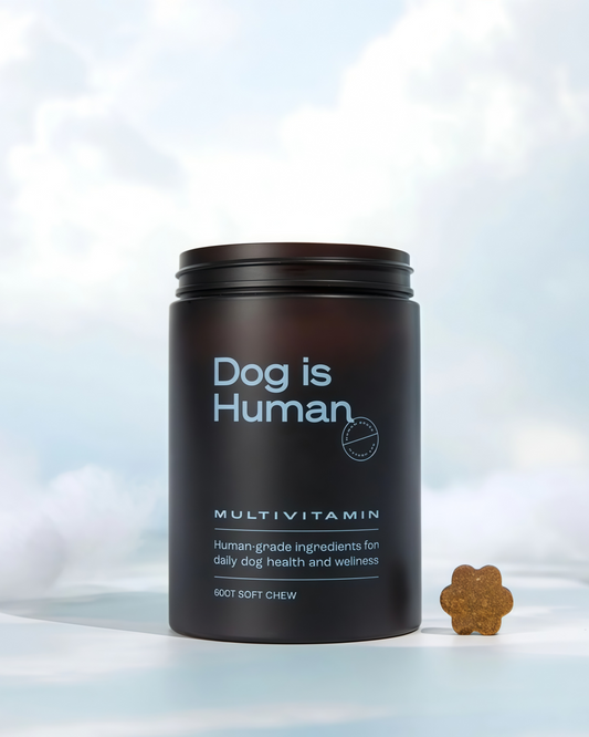 DM-01 Daily Multivitamin for Dogs, Human-Grade Multivitamin Soft Chews for Daily Nutritional Support, Chicken & Beef Flavors, 60 Soft Chews